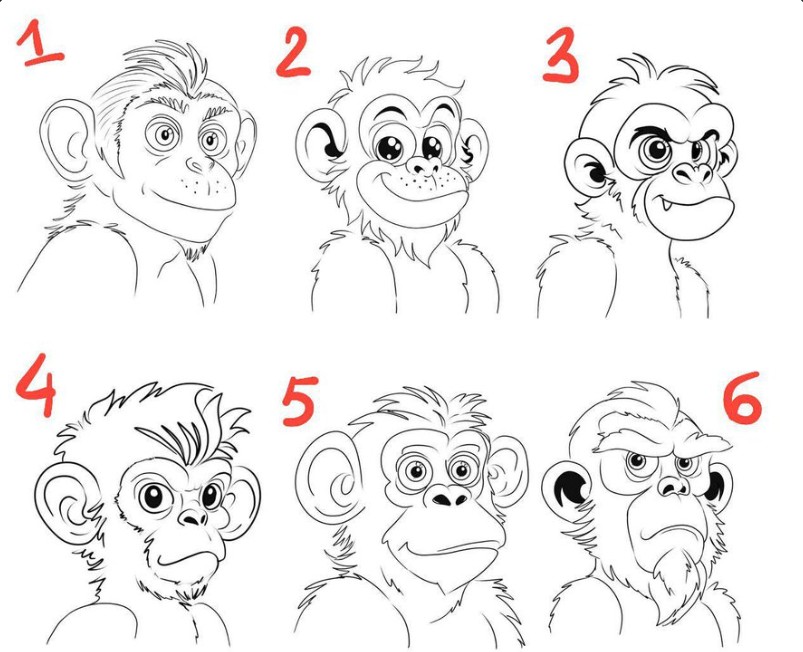 Six pencil sketches of ape characters, numbered 1 to 6